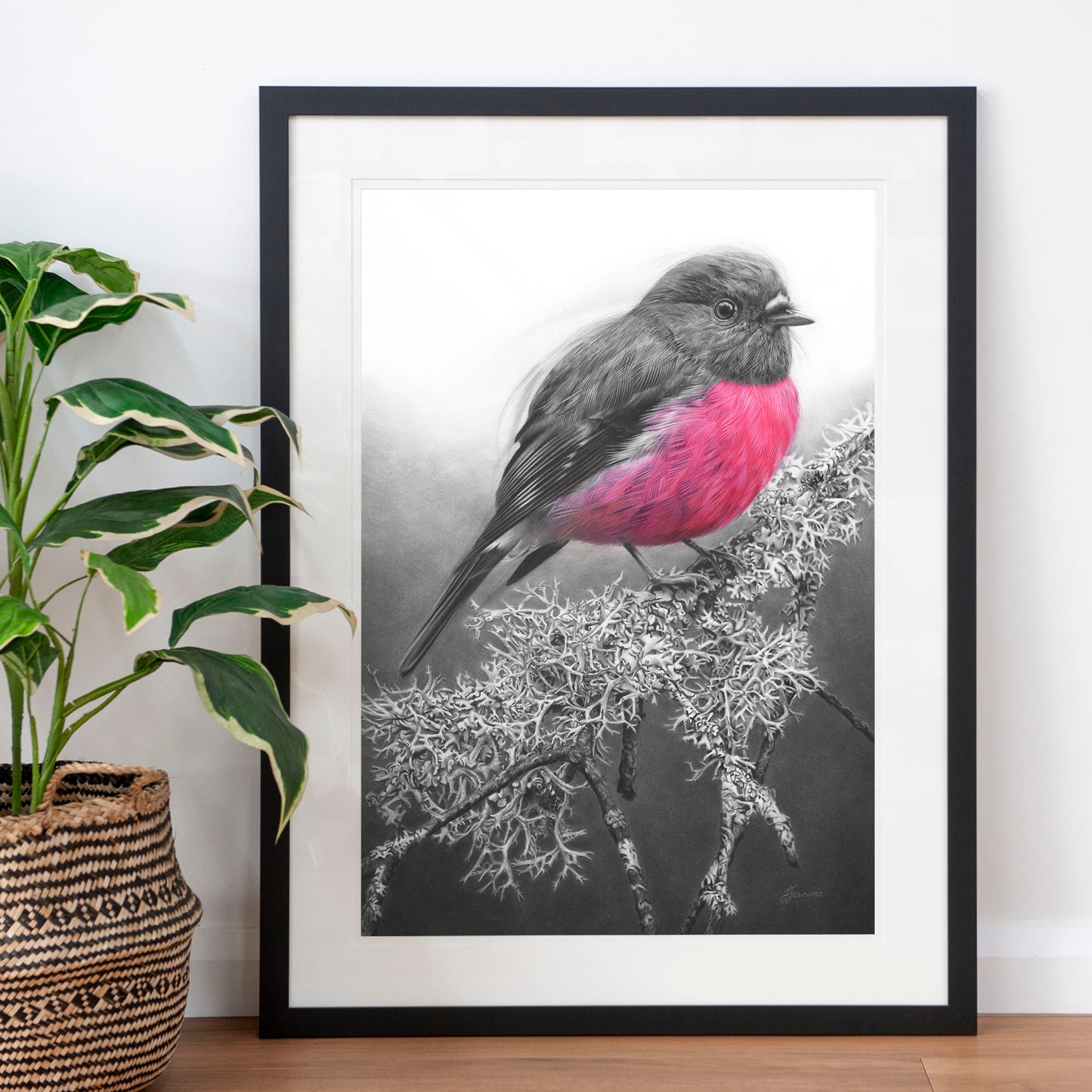 'Pink Robin' art print