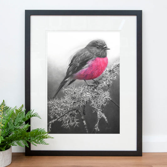 'Pink Robin' art print
