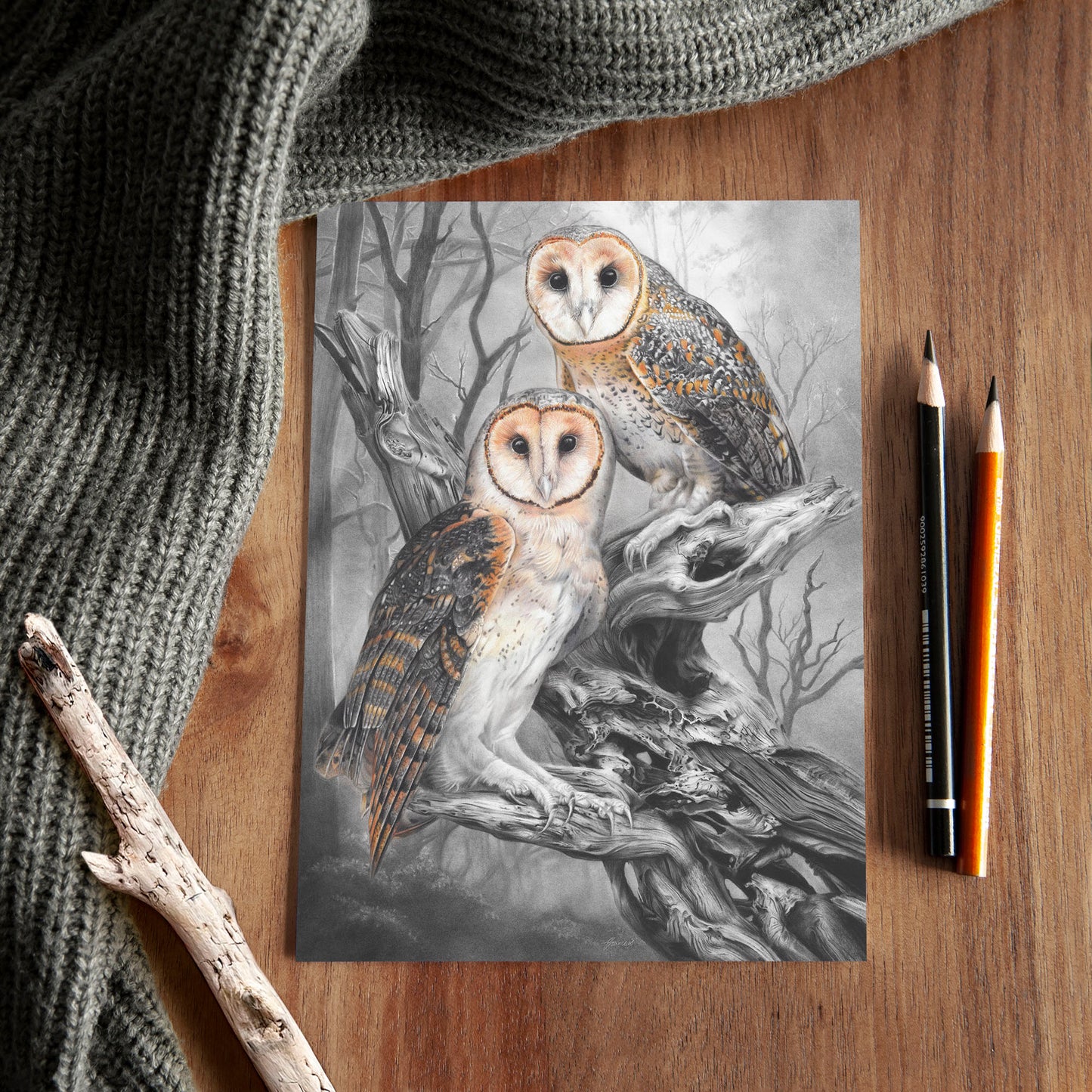 'Tasmanian Masked Owls' A5 art card