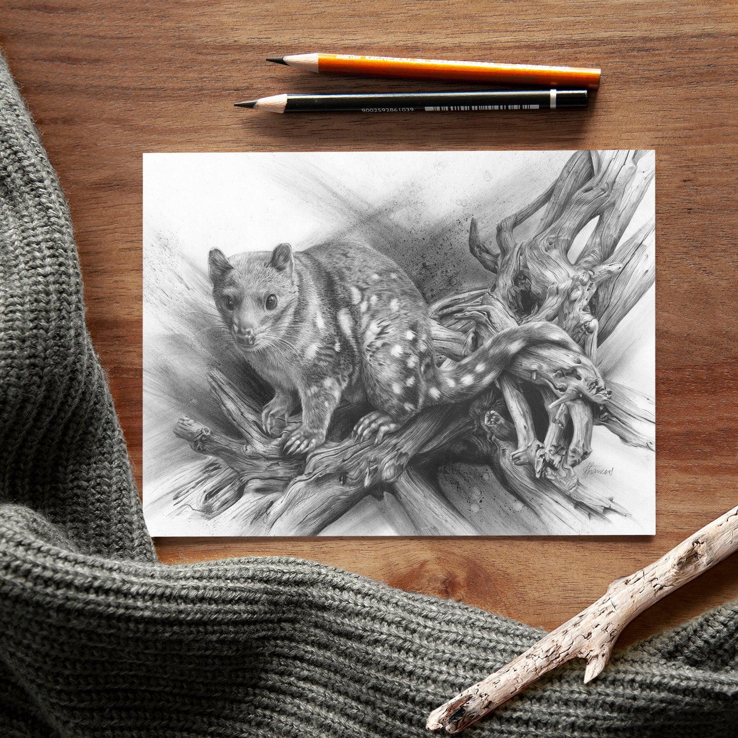 'Spotted Quoll' A5 art card
