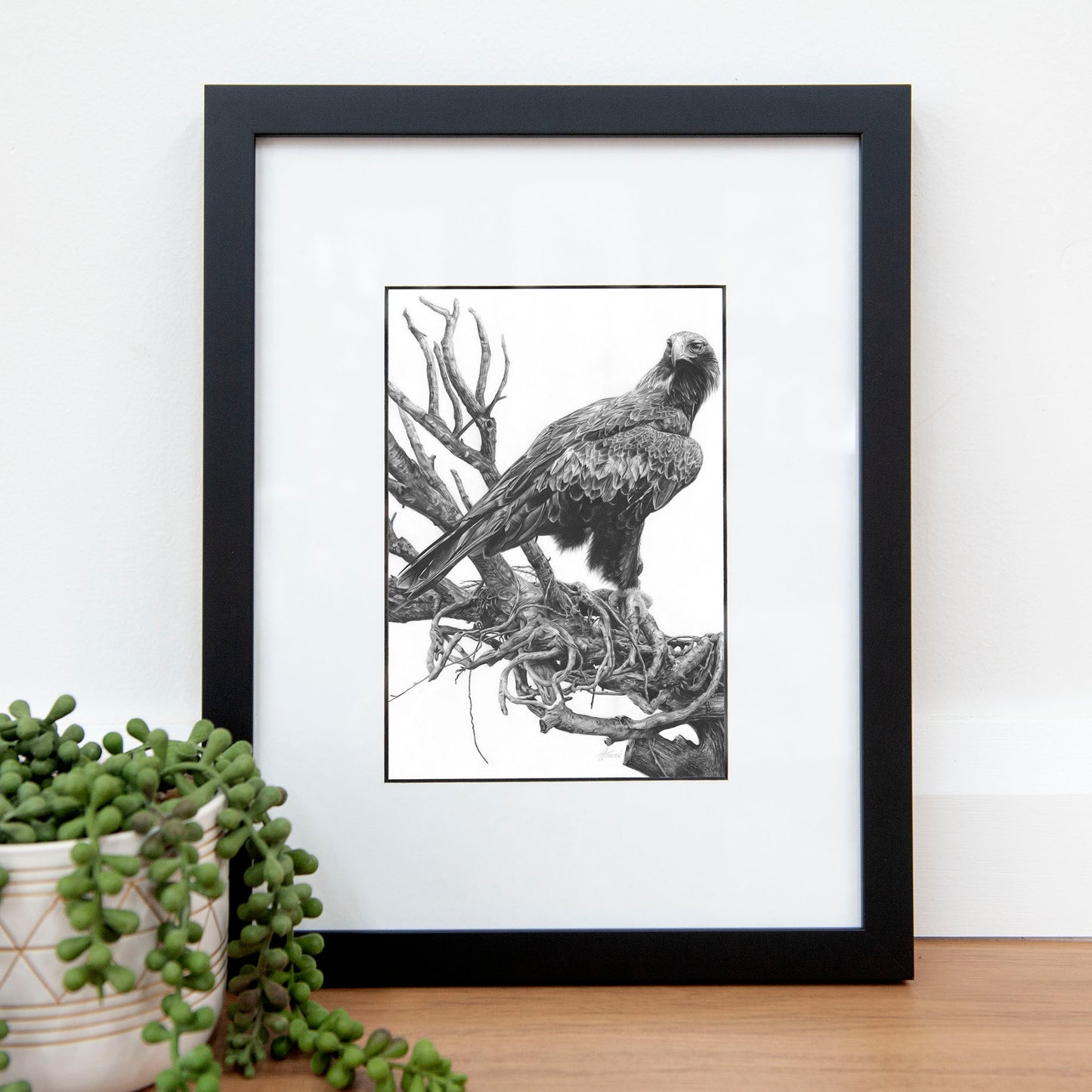 'Wedge-tailed Eagle' A5 art card