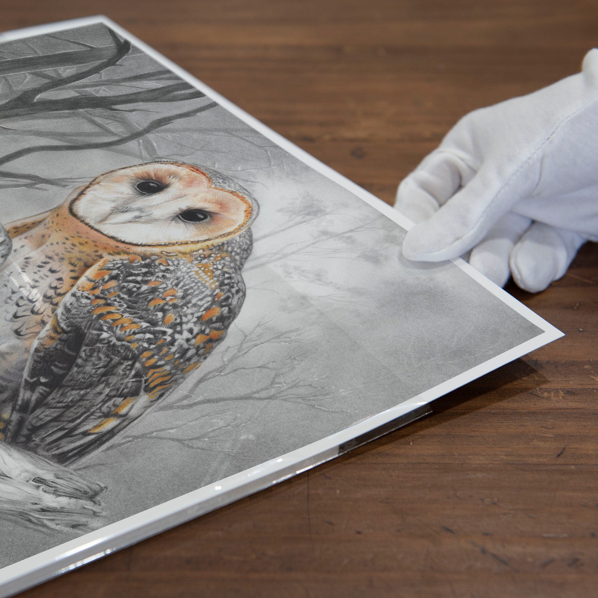 Black White Drawing Owl Made Pencil Stock Photo 330890306 | Shutterstock