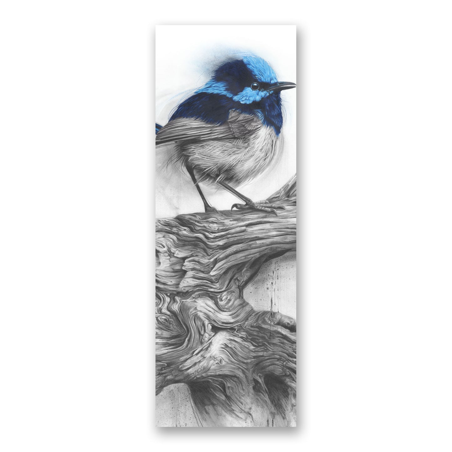 'Fairy Wren' bookmark