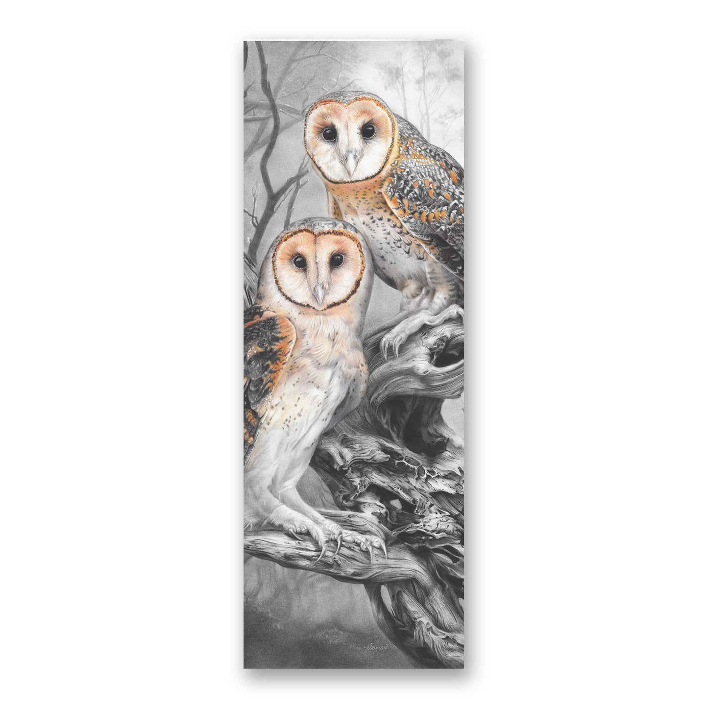 'Tasmanian Masked Owls' bookmark
