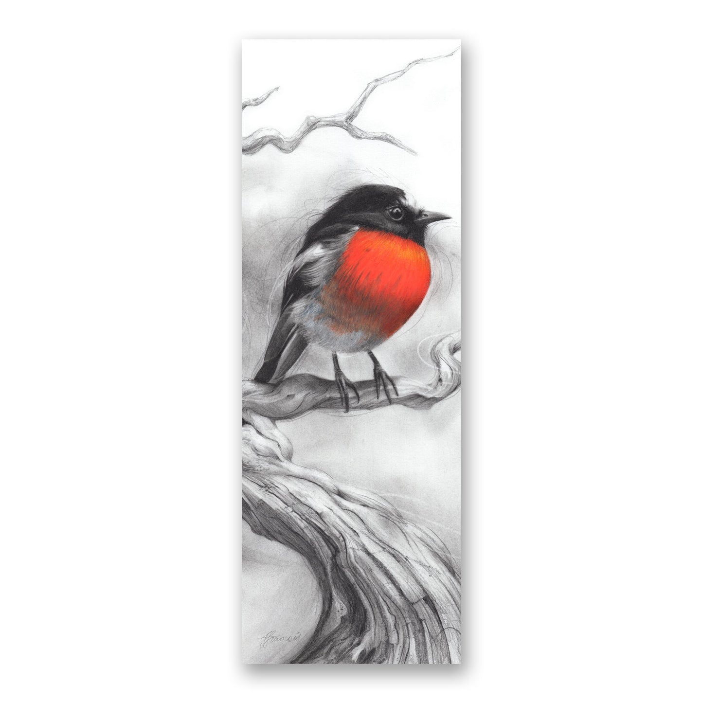 'Scarlet Robin' bookmark