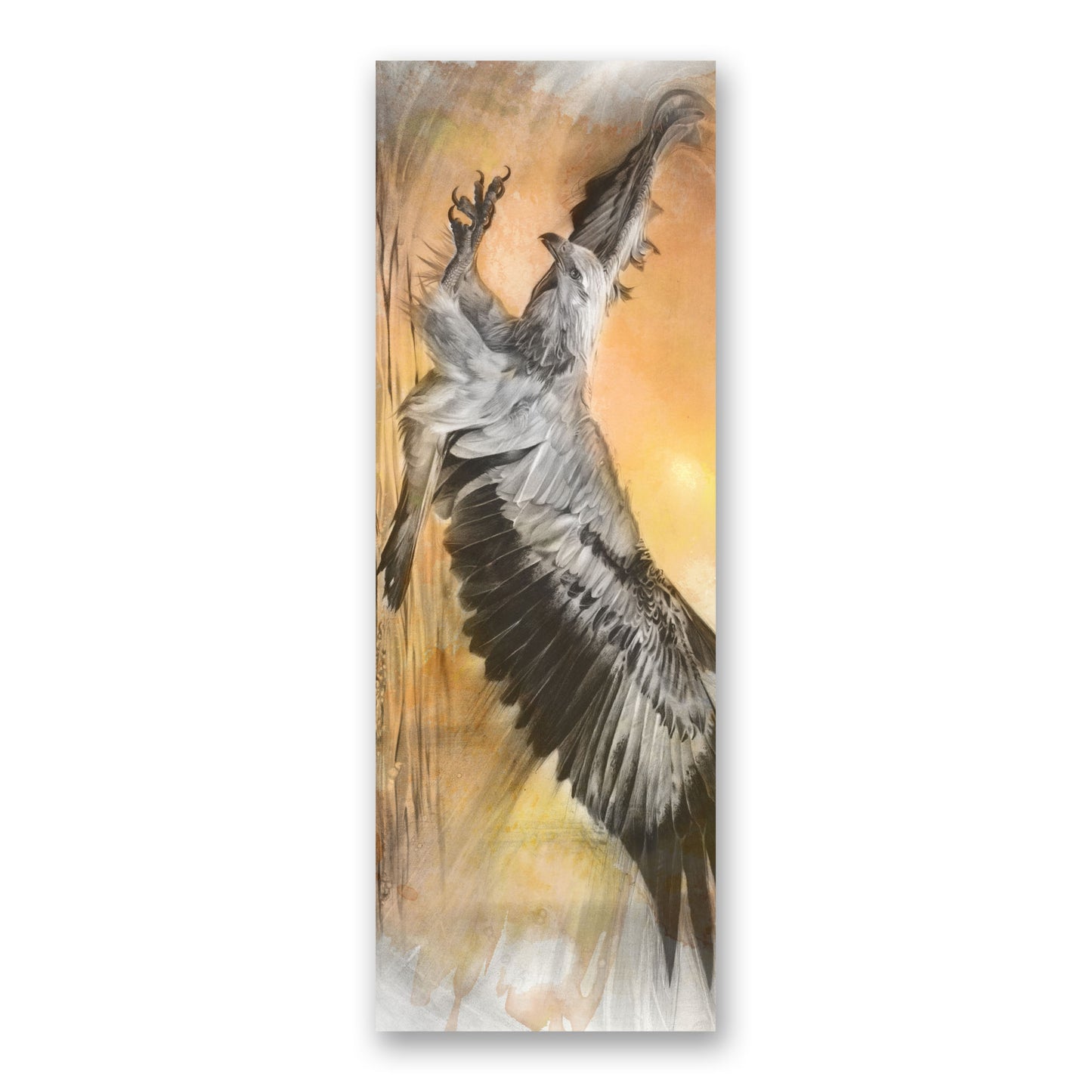 'White-bellied Sea Eagle' bookmark