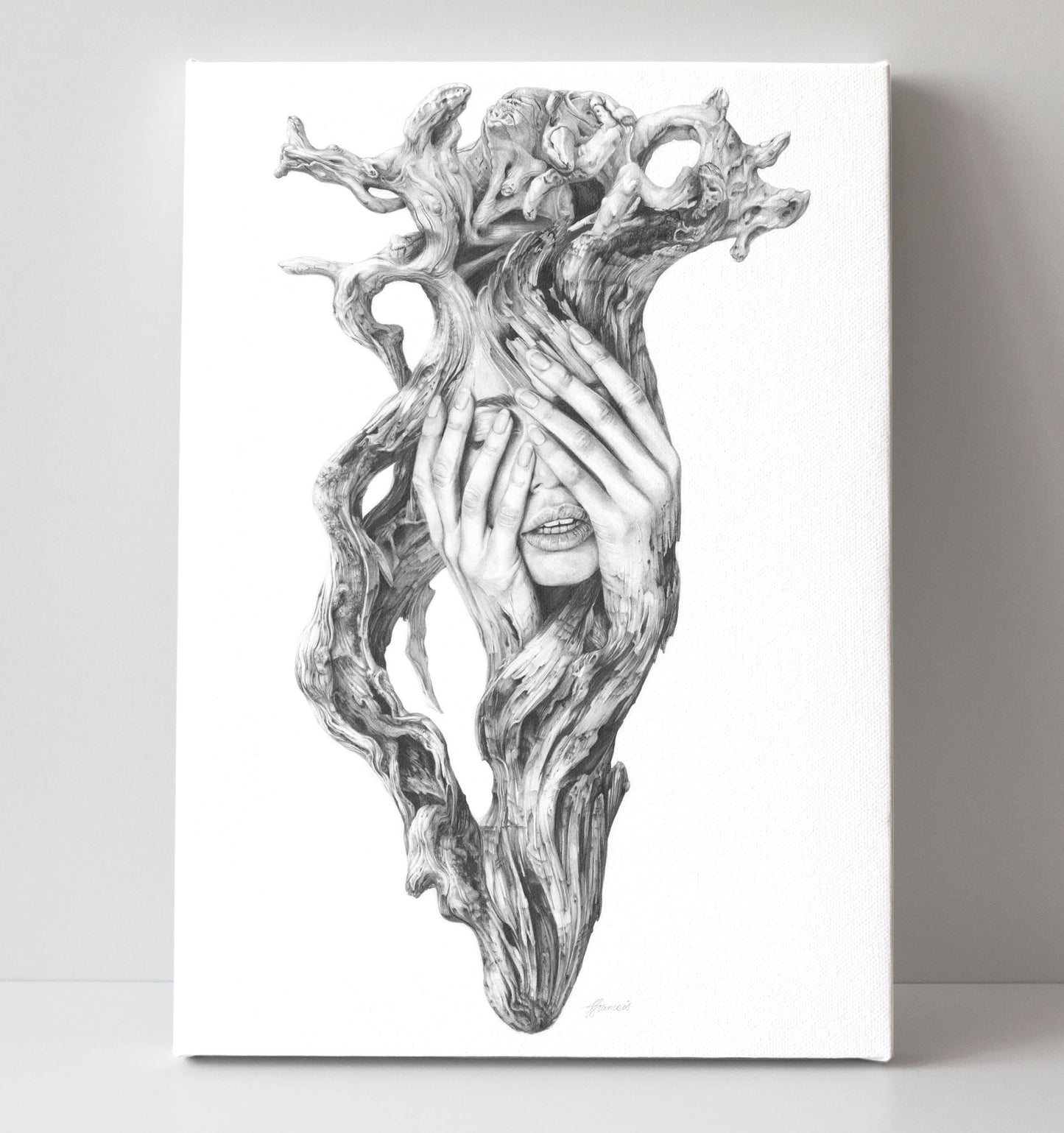 'Driftwood Souls 3' canvas print