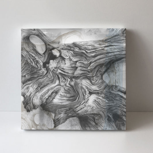 'Driftwood Study 3' canvas print