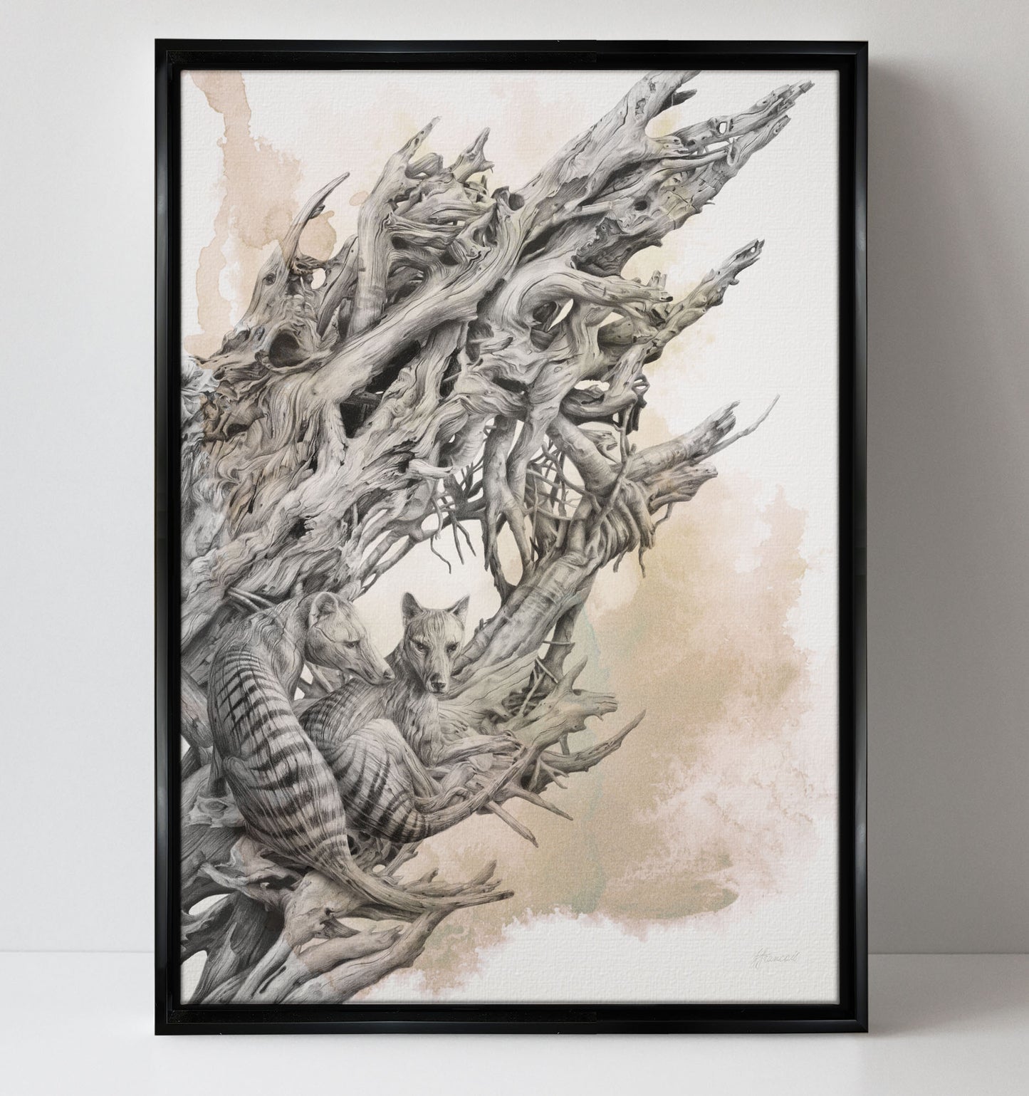 'Driftwood Thylacine' canvas print (with colour)