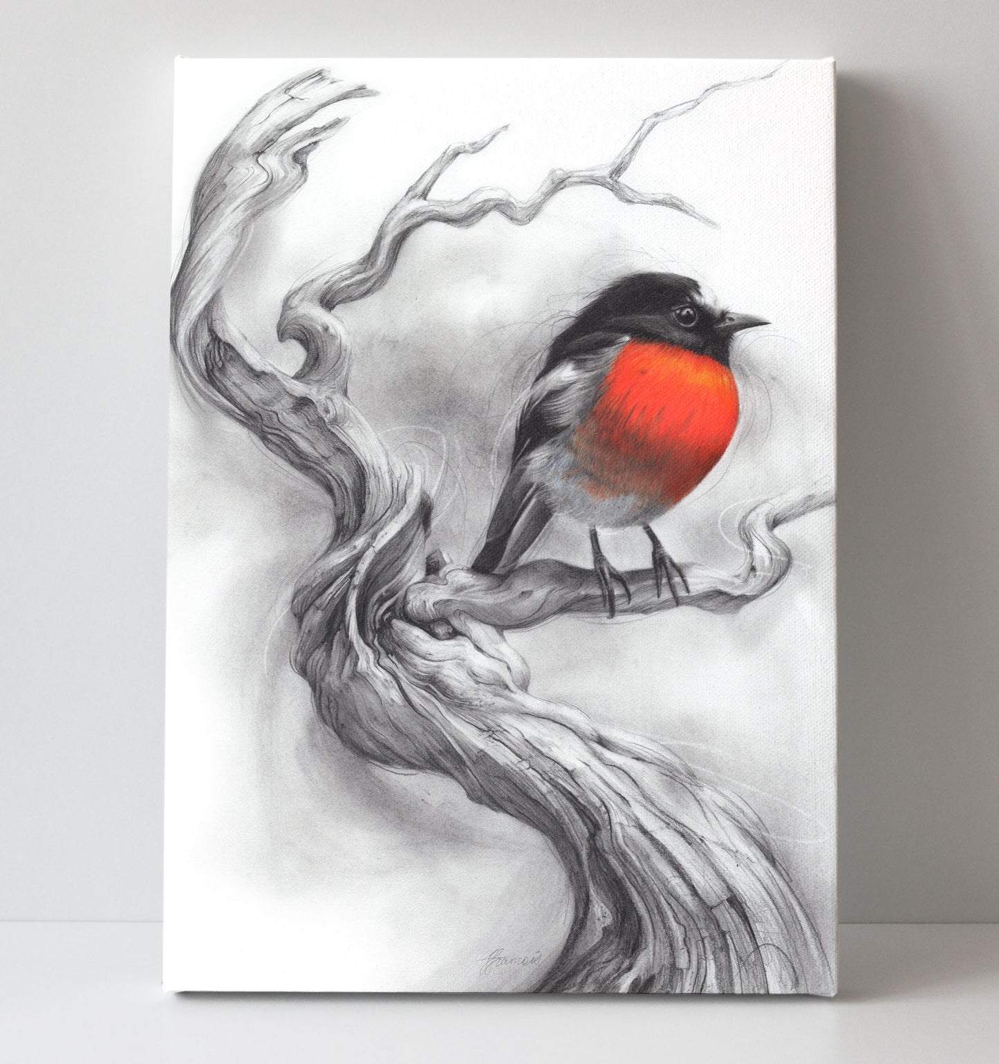 'Scarlet Robin' canvas print