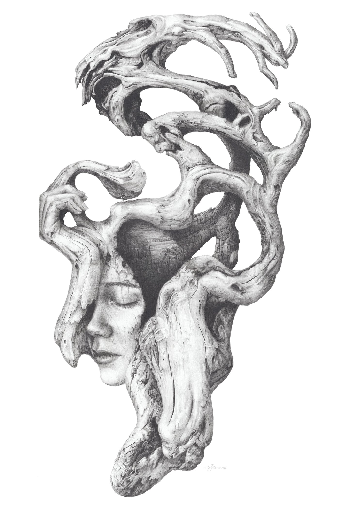'Driftwood Souls 2' canvas print