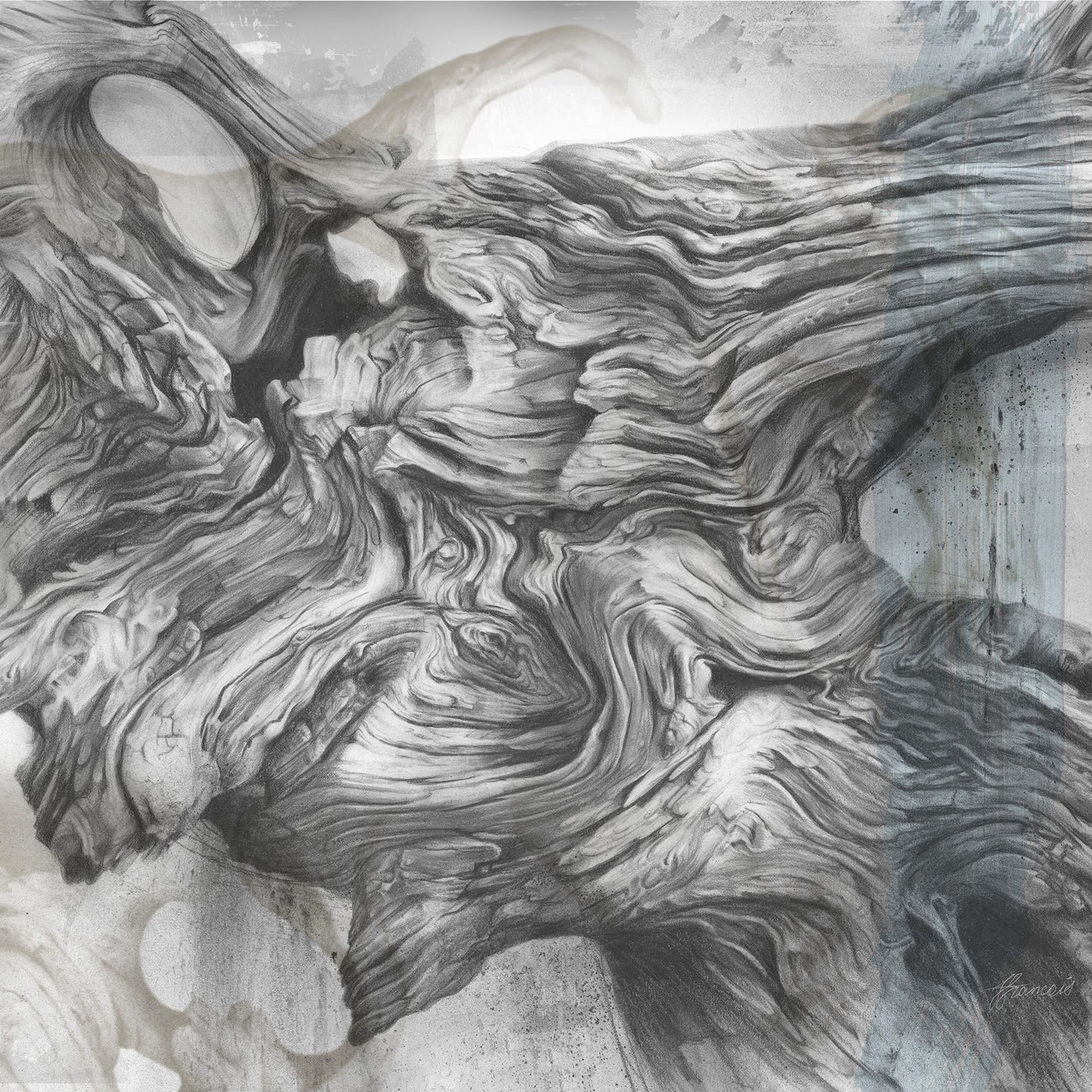 'Driftwood Study 3' canvas print