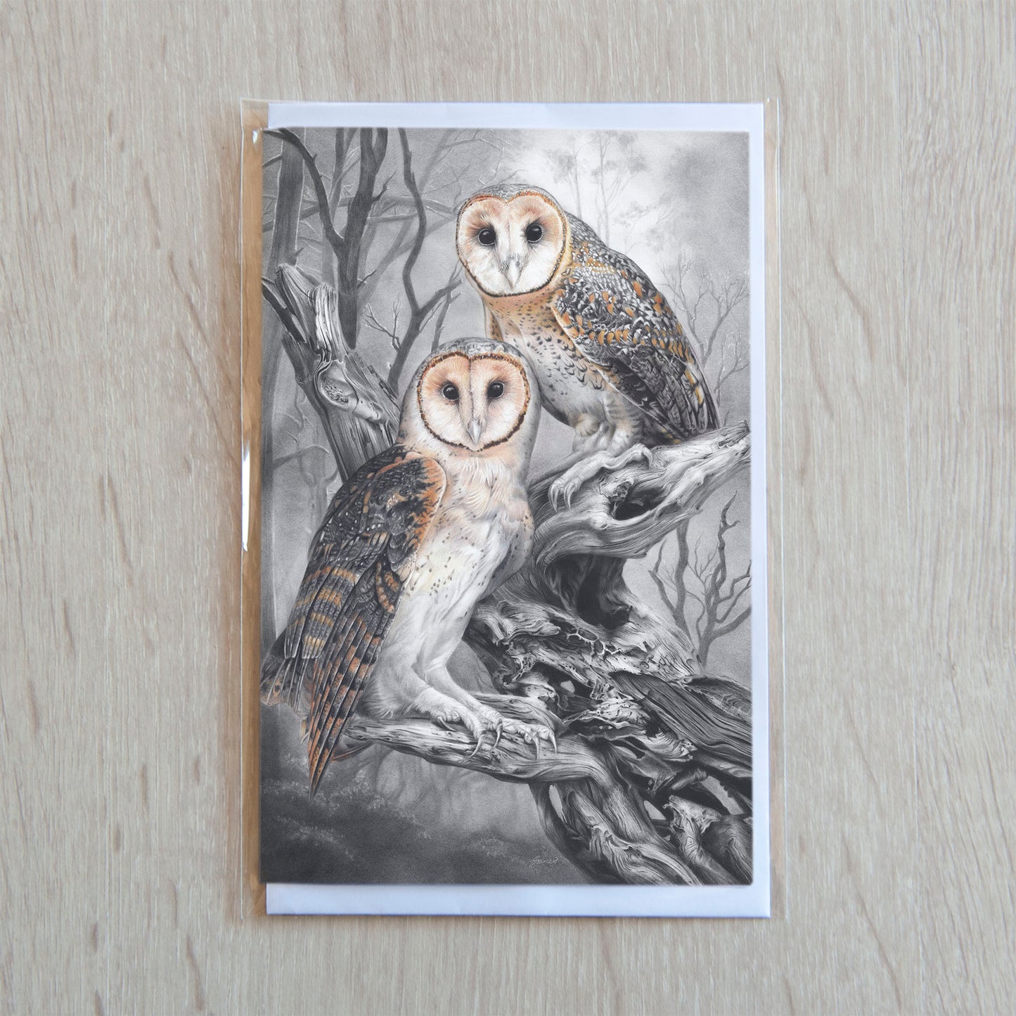 'Tasmanian Masked Owls' greeting card