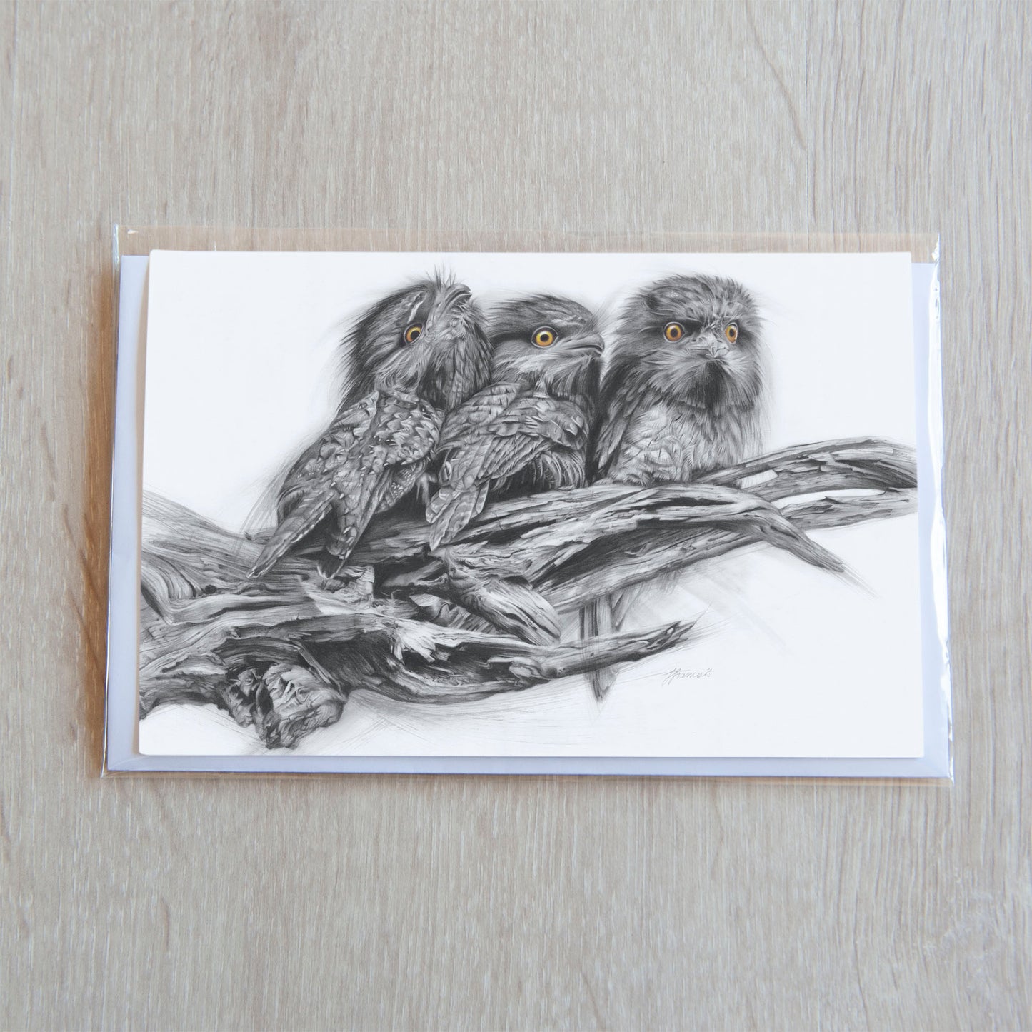 'Tawny Frogmouth Trio' greeting card