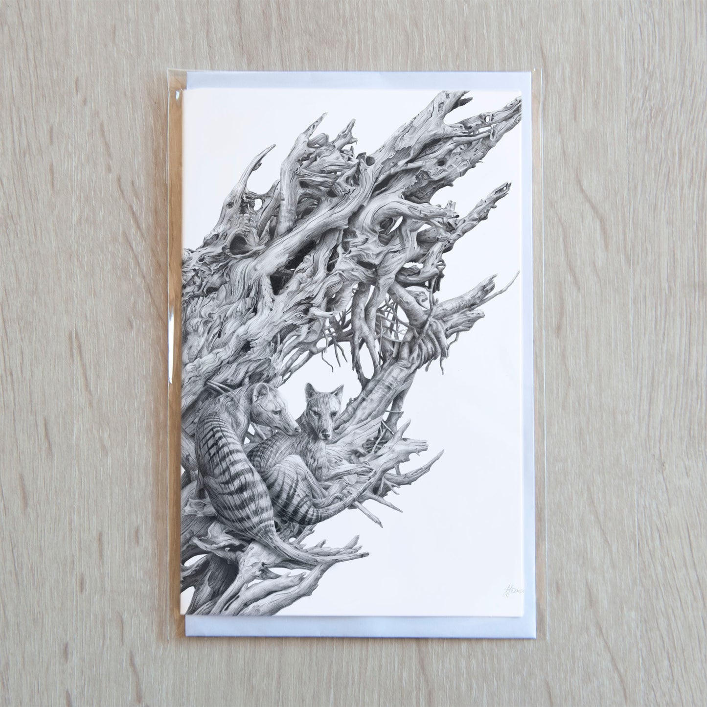 'Driftwood Thylacine' greeting card