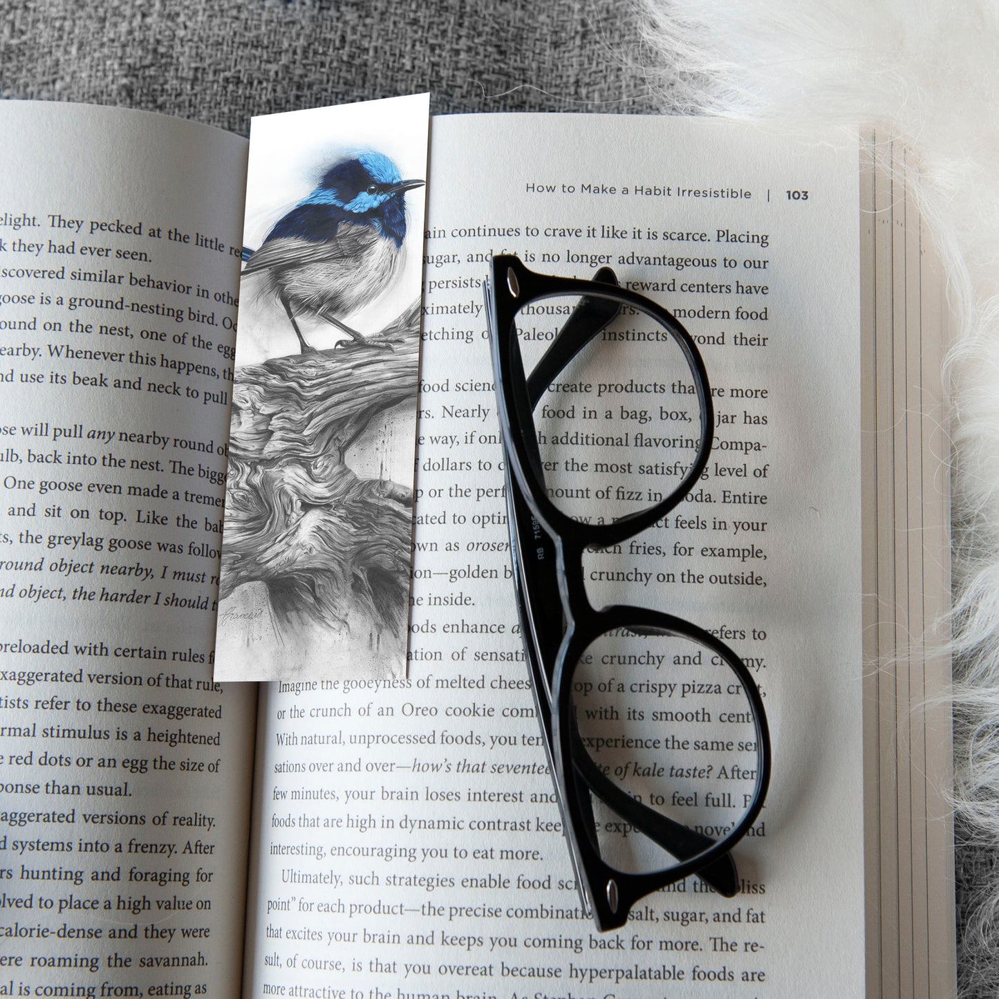 'Fairy Wren' bookmark