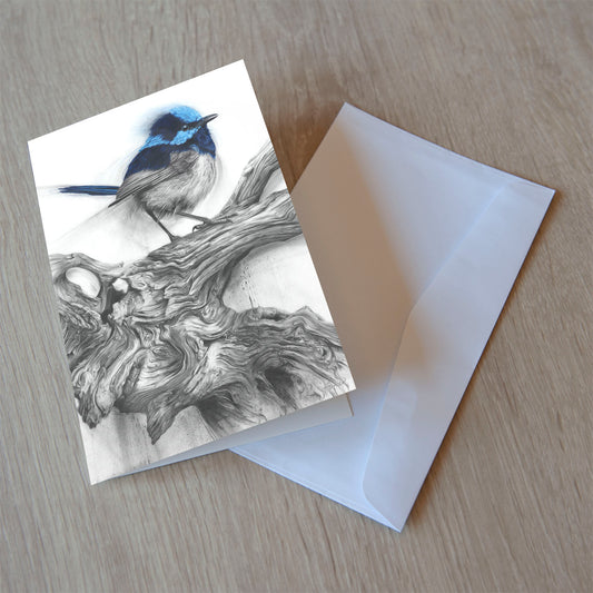 'Fairy Wren' greeting card