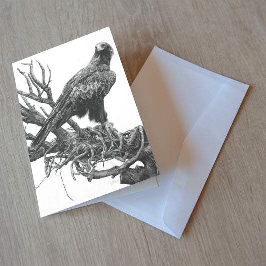 'Wedge-tailed Eagle' greeting card